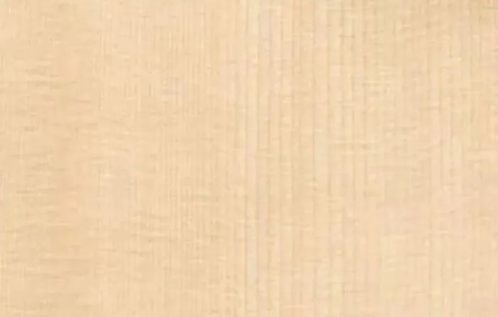 Wood Science of Acoustic Guitar: Barrel Body