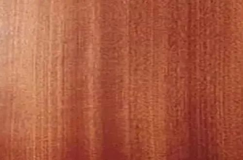 Wood Science of Acoustic Guitar: Barrel Body