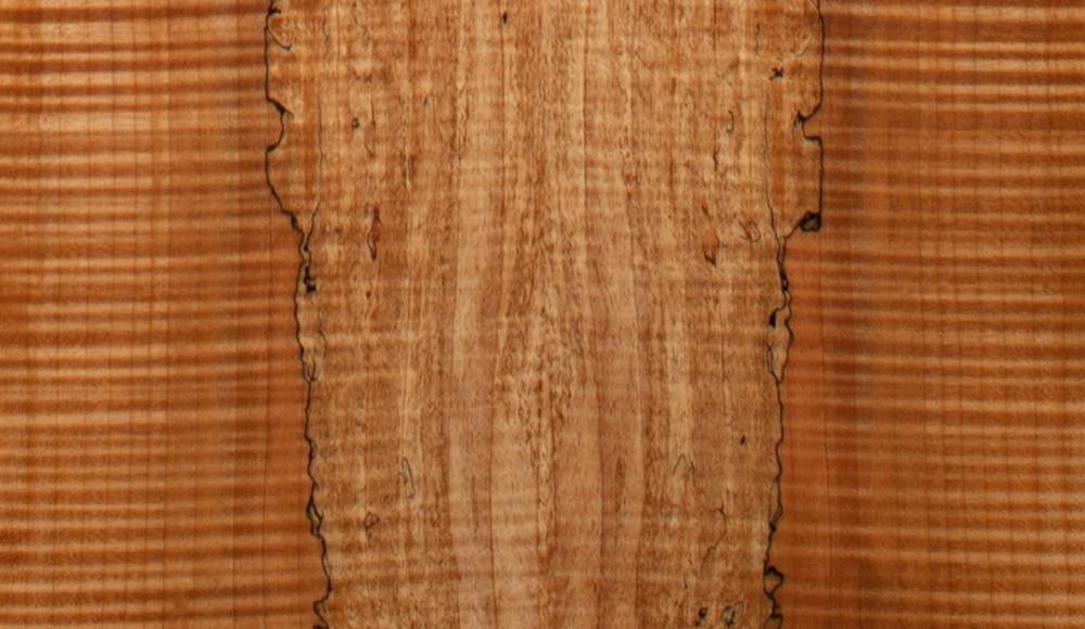 Wood Science of Acoustic Guitar: Barrel Body